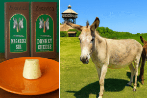 Imagen del artículo