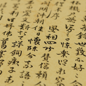 Imagen del artículo