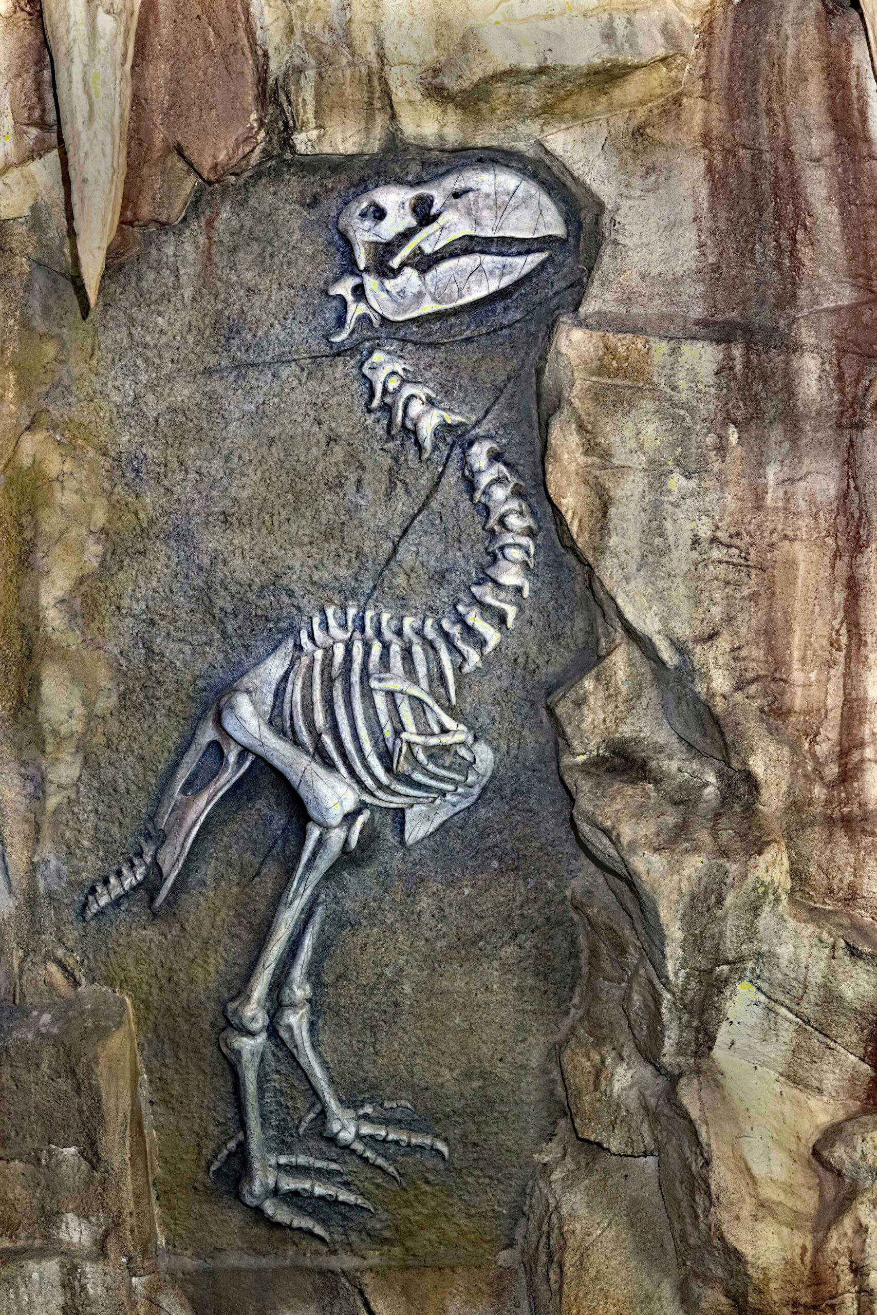 Fósil de dinosaurio hallado en China